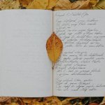 11 sprawdzonych sposobów nauki poezji, która porusza do głębi