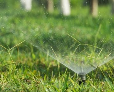 Kropla, która robi różnicę: porównujemy systemy nawadniania kropelkowego - oszczędź wodę i czas