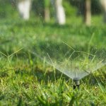 Kropla, która robi różnicę: porównujemy systemy nawadniania kropelkowego - oszczędź wodę i czas