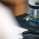 Odkryj niewidzialny świat: jak dobrać mikroskop do swoich eksperymentów (bez przepłacania)